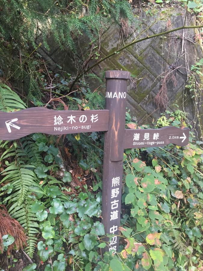 Kumano Winery Guest House Tanabe Exteriör bild